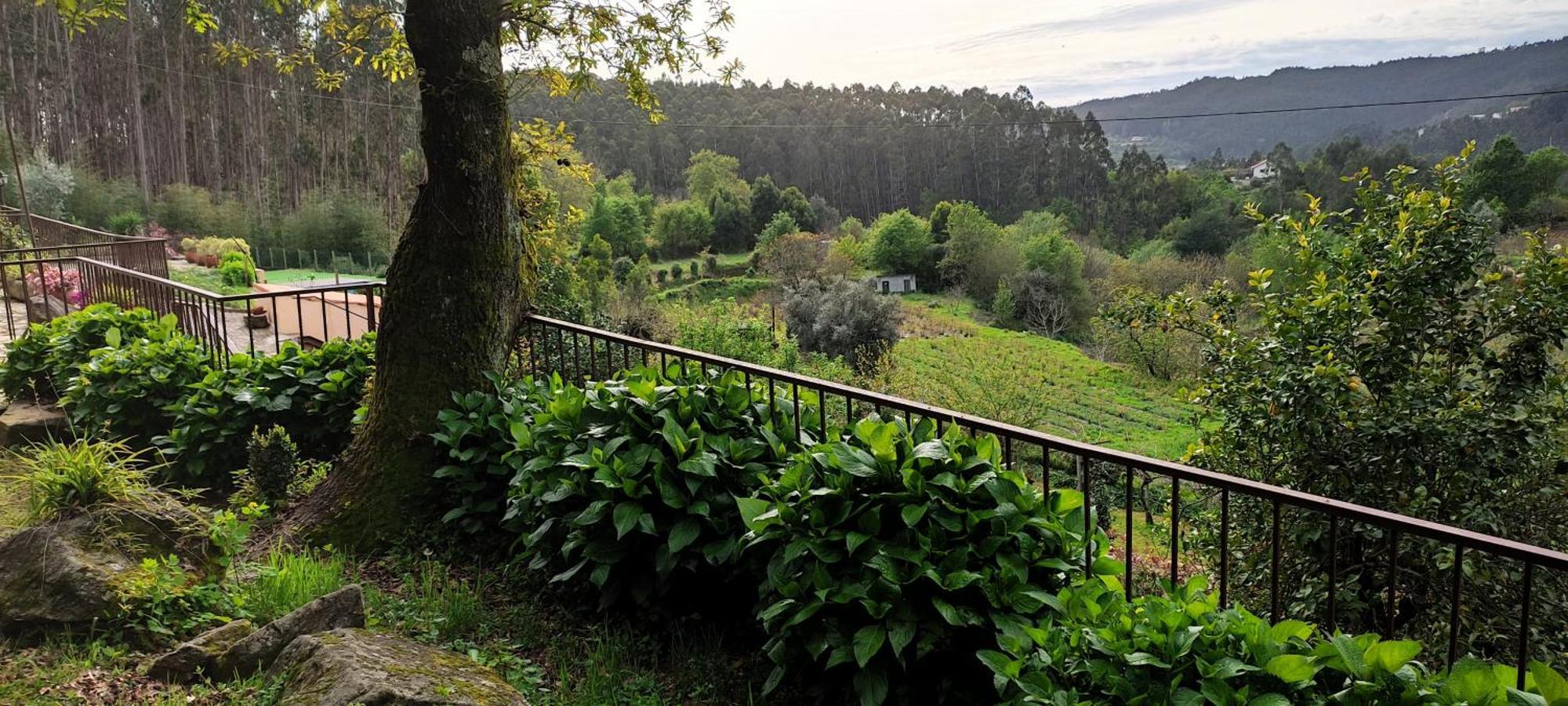 Quinta Da Costeira Villa Sever do Vouga Exteriör bild