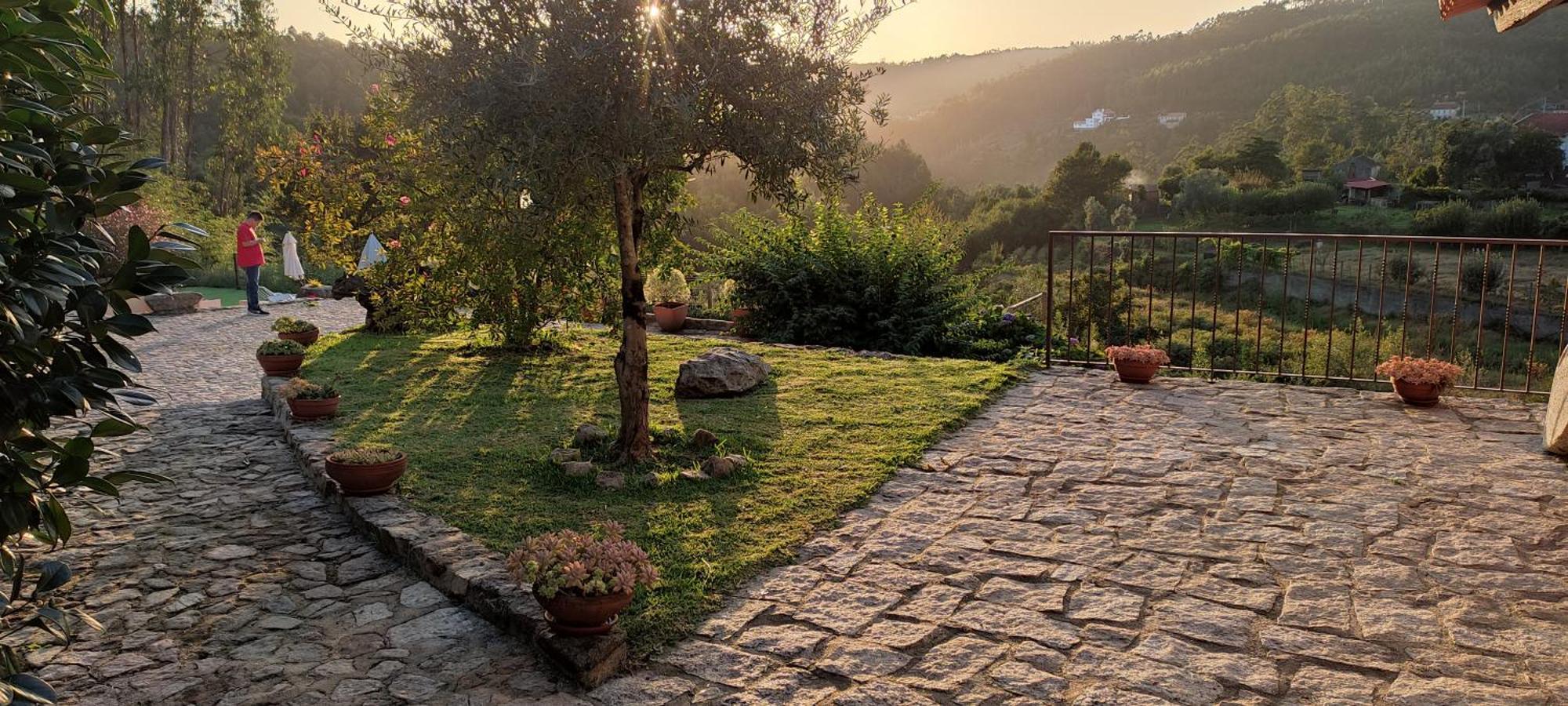 Quinta Da Costeira Villa Sever do Vouga Exteriör bild