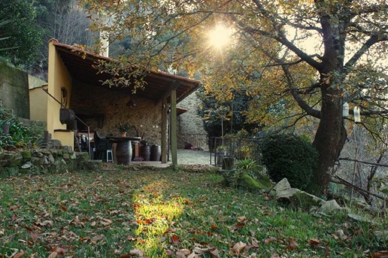 Quinta Da Costeira Villa Sever do Vouga Exteriör bild