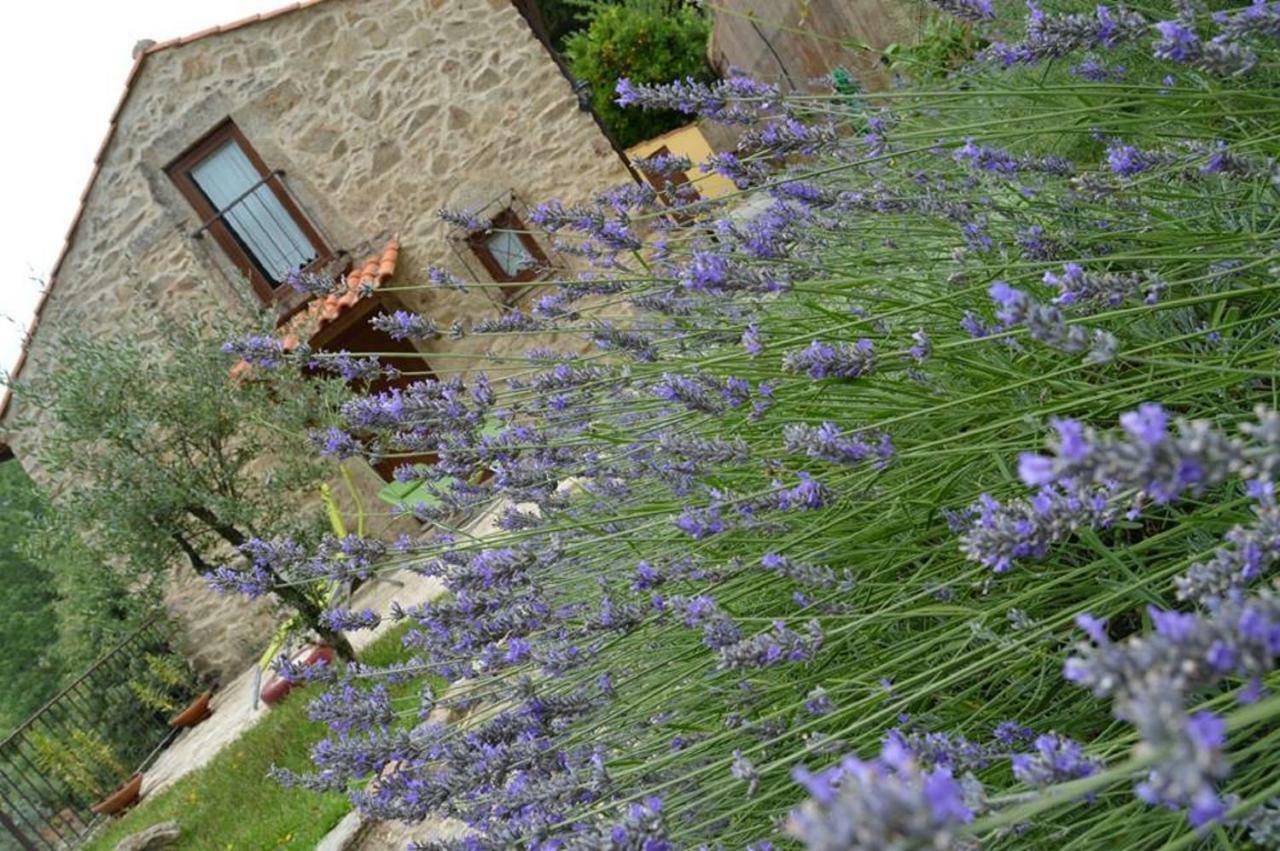 Quinta Da Costeira Villa Sever do Vouga Exteriör bild