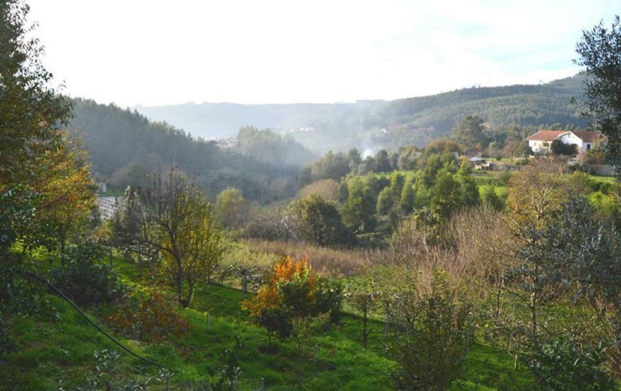 Quinta Da Costeira Villa Sever do Vouga Exteriör bild