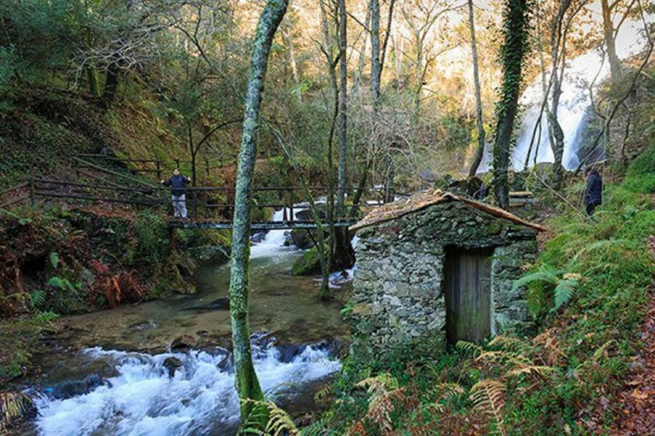 Quinta Da Costeira Villa Sever do Vouga Exteriör bild