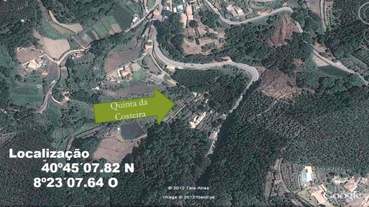 Quinta Da Costeira Villa Sever do Vouga Exteriör bild